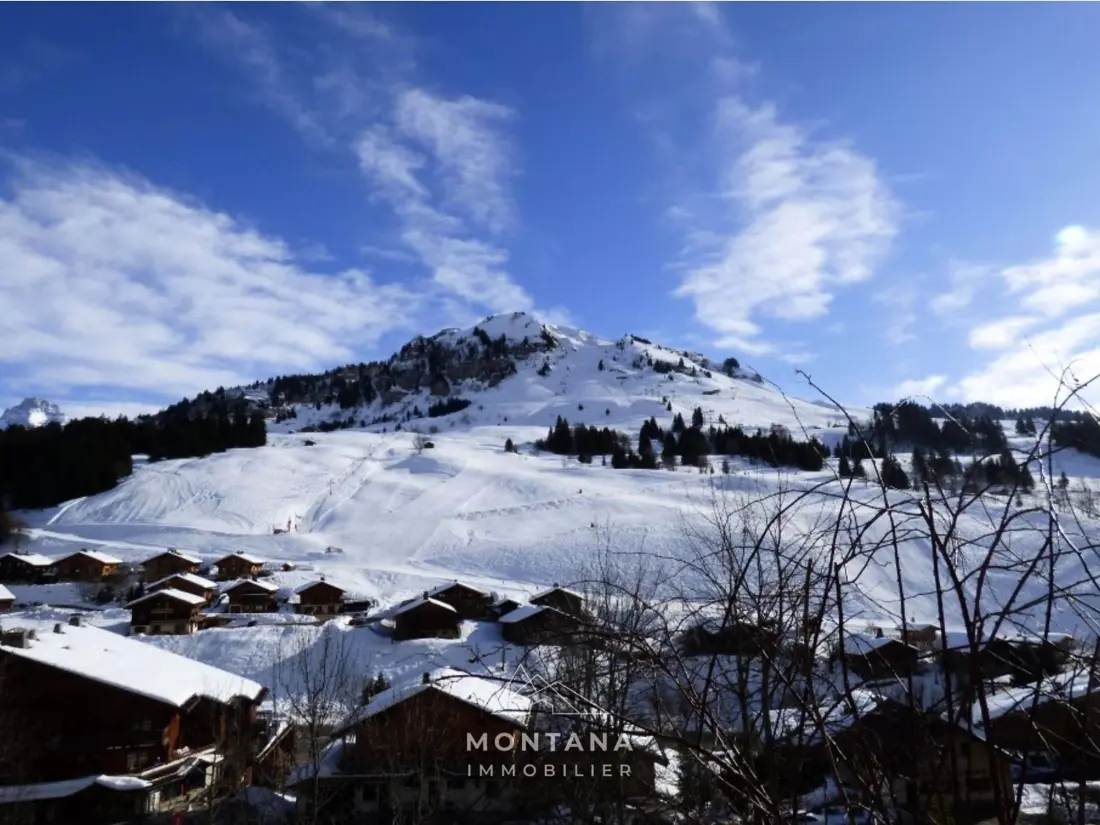 Location de Vacances Le Grand-Bornand 409