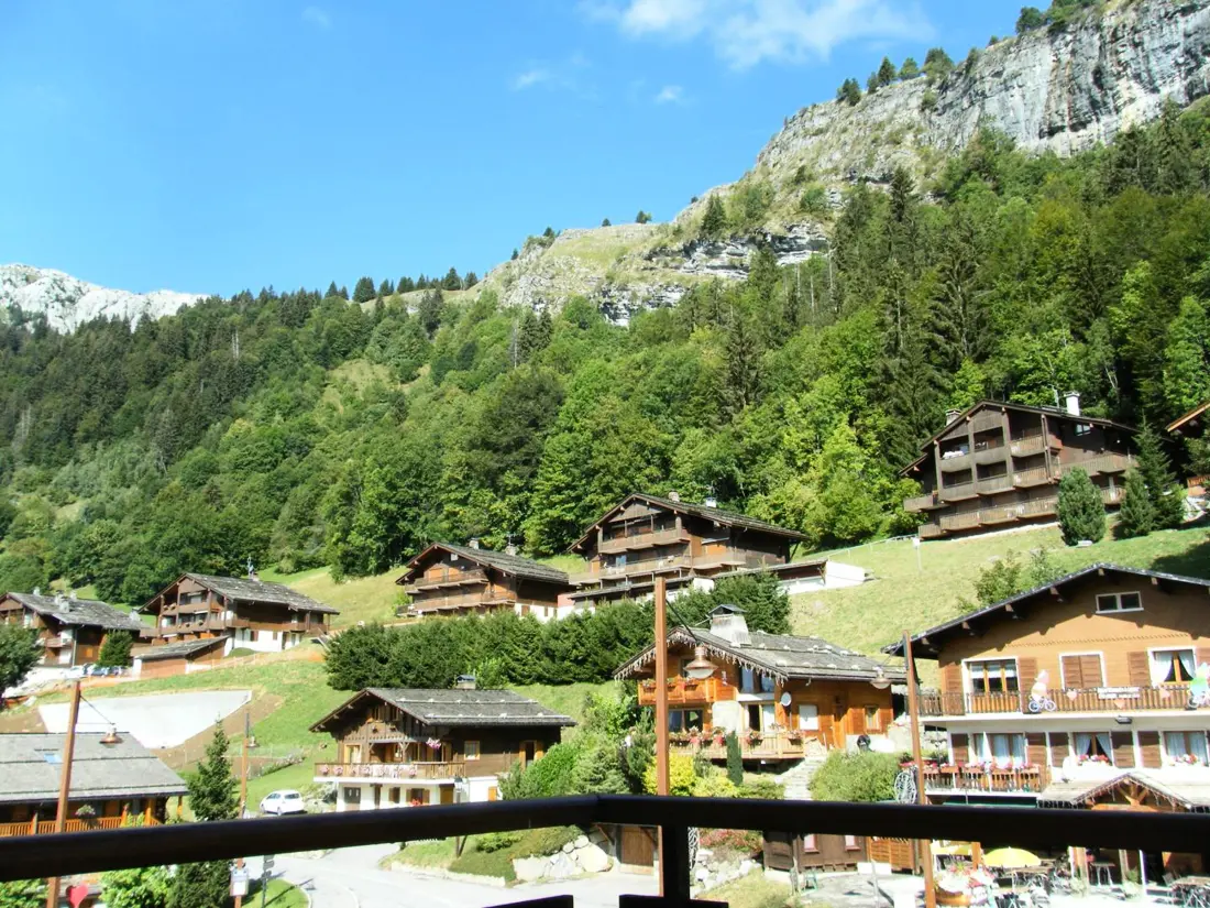 Location de Vacances Le Grand-Bornand 414