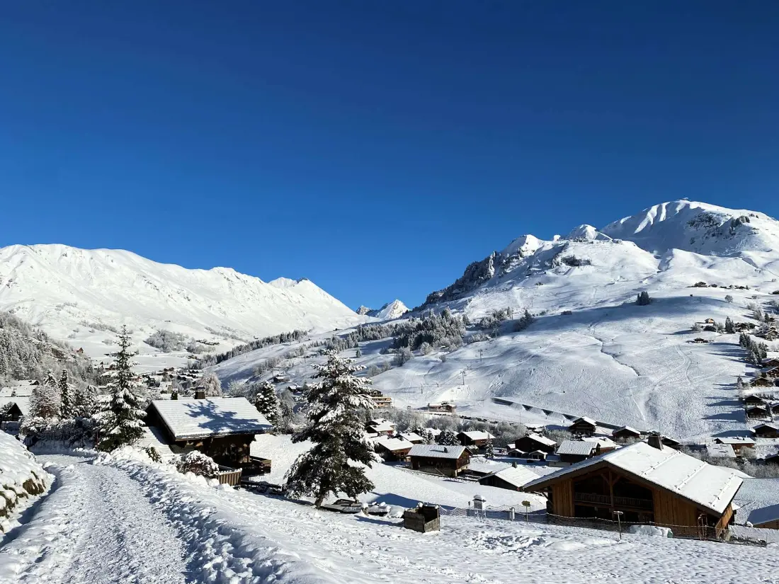 Location de Vacances Le Grand-Bornand 414