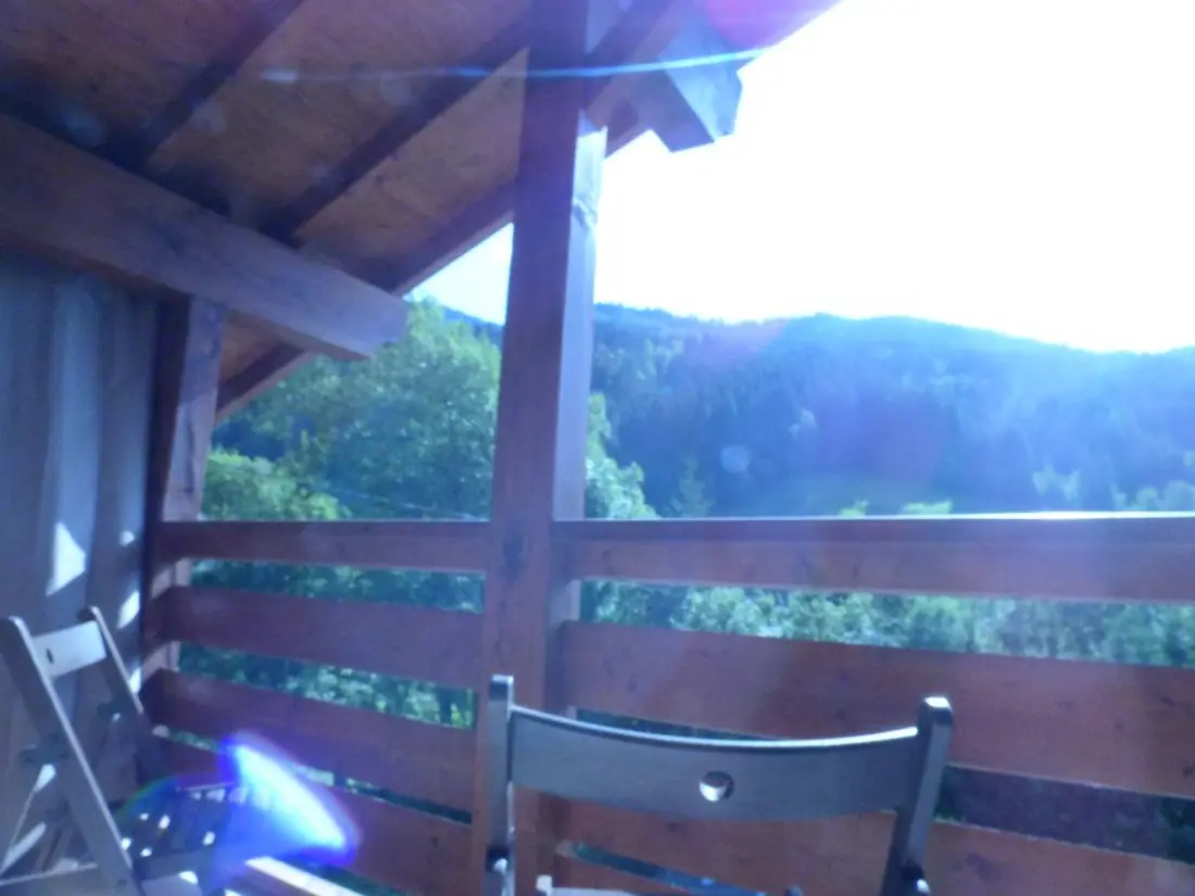 Location de Vacances Le Grand-Bornand 419