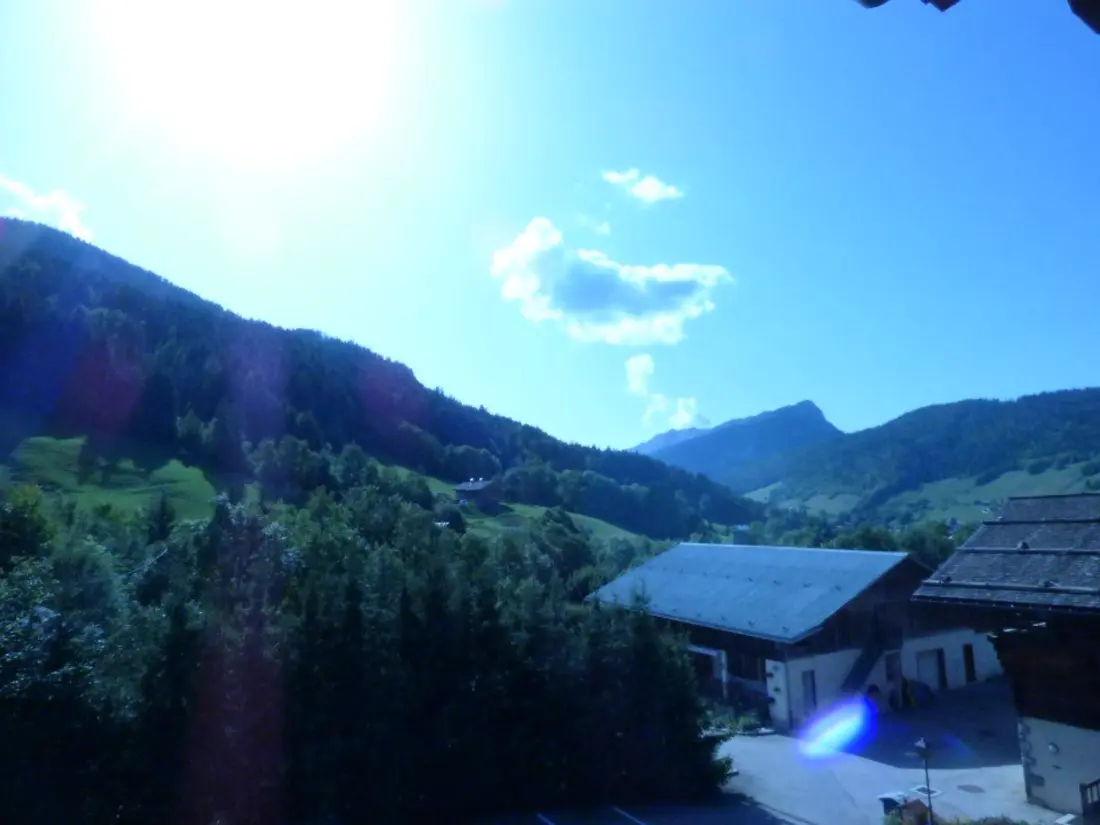 Location de Vacances Le Grand-Bornand 419