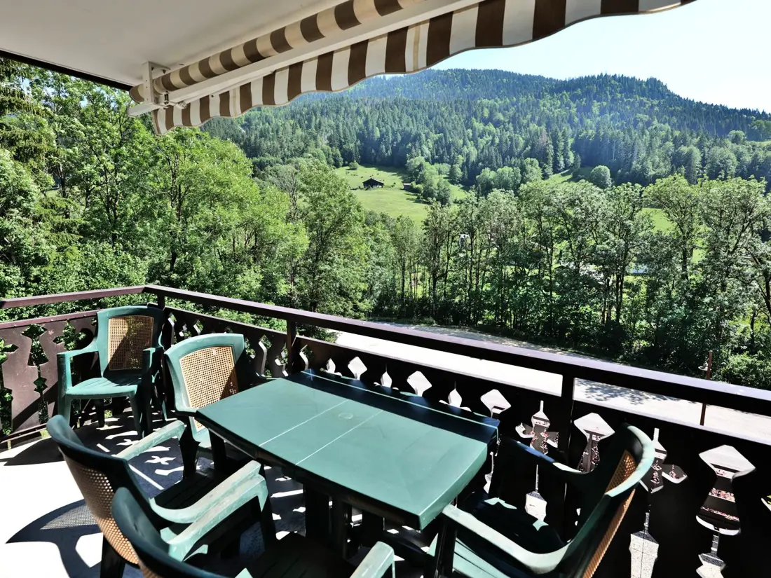 Location de Vacances Le Grand-Bornand 425