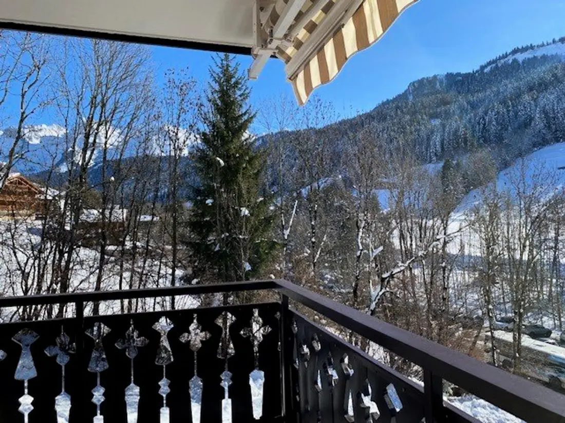 Location de Vacances Le Grand-Bornand 425