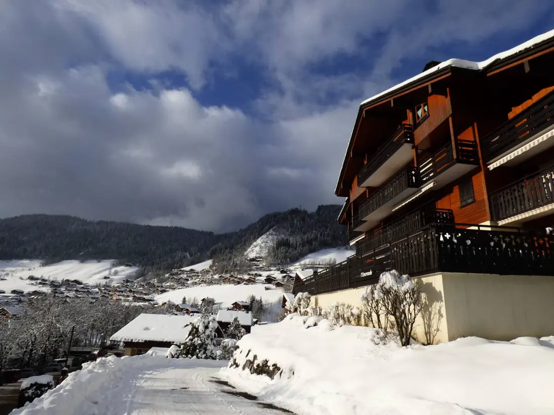 Location de Vacances Le Grand-Bornand 425