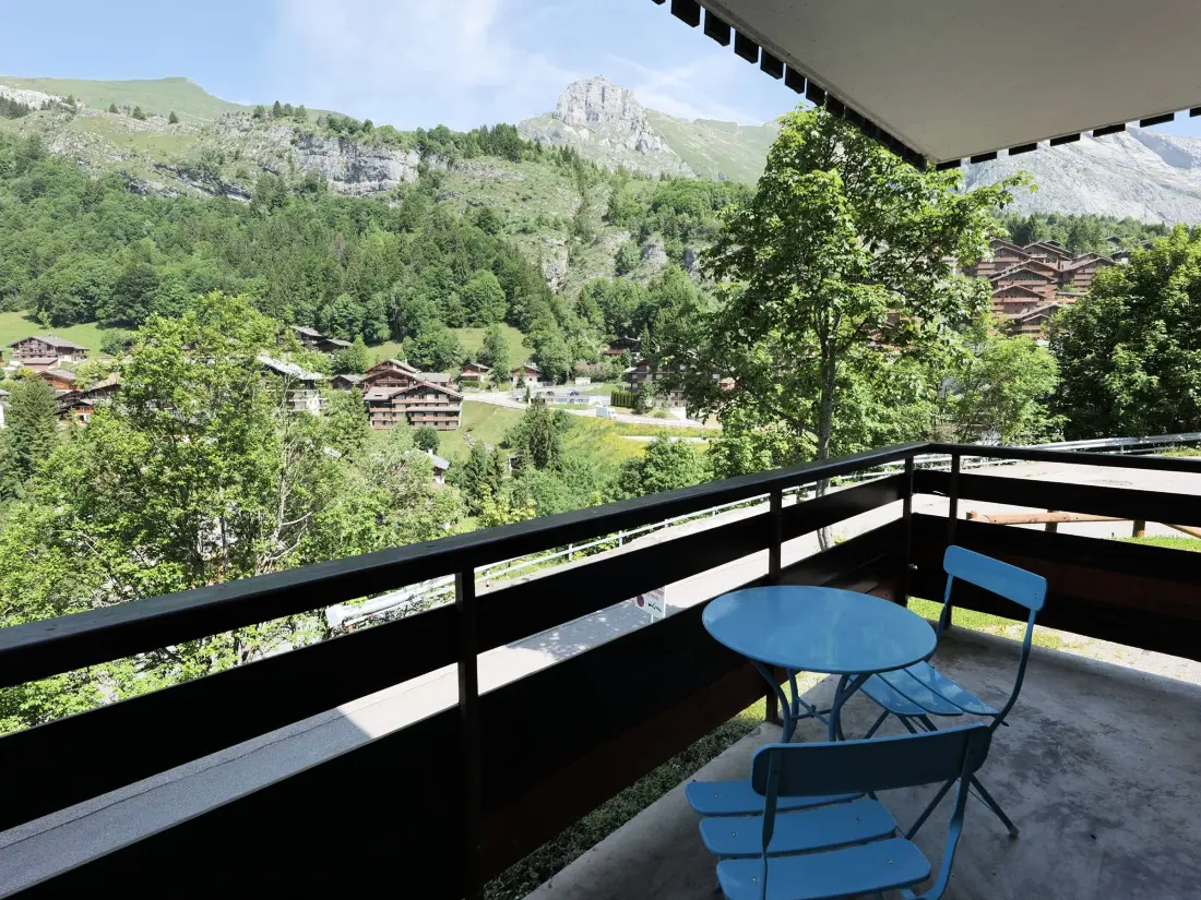 Location de Vacances Le Grand-Bornand 428
