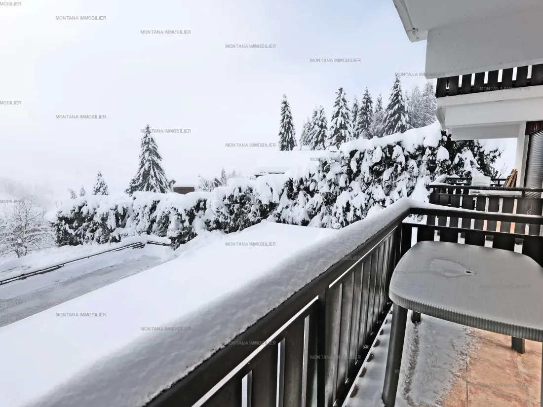 Location de Vacances Le Grand-Bornand 430