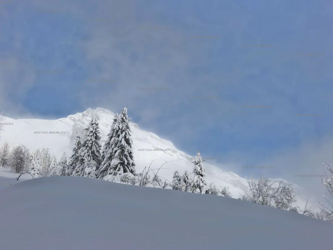 Location de Vacances Le Grand-Bornand 430