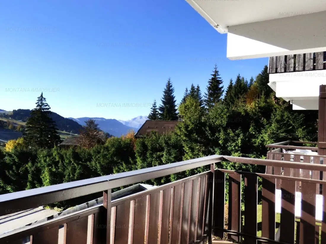 Location de Vacances Le Grand-Bornand 430