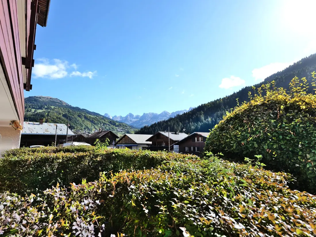 Location de Vacances Le Grand-Bornand 431