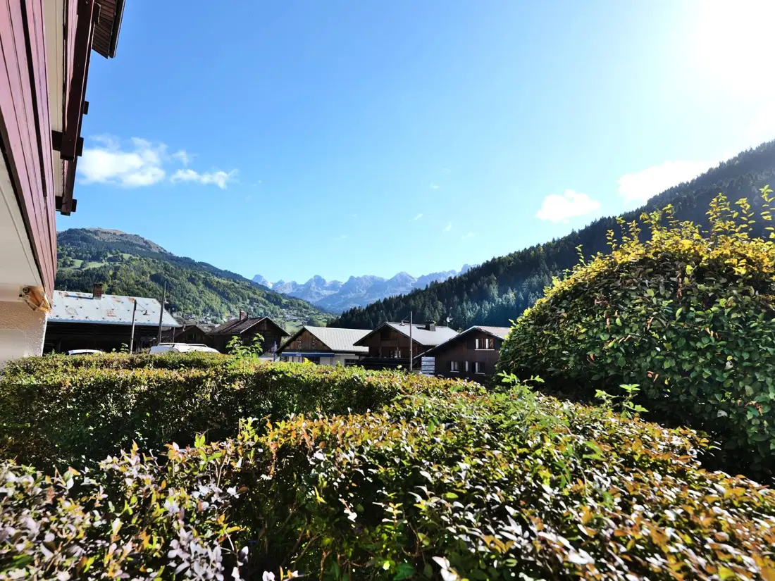 Location de Vacances Le Grand-Bornand 431