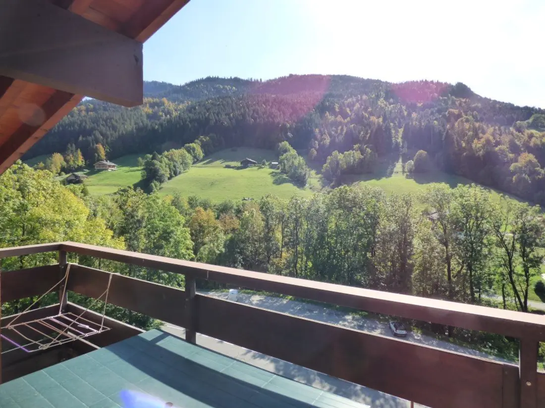 Maison de Vacances Le Grand-Bornand 449