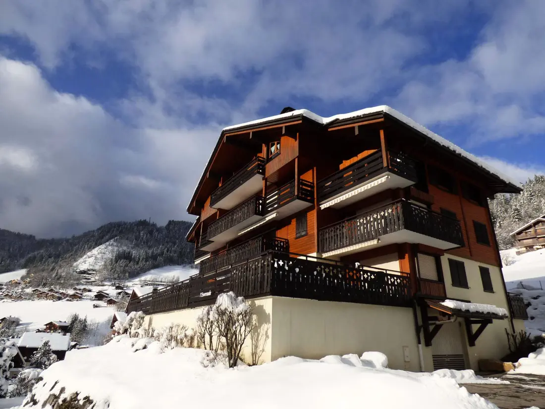 Maison de Vacances Le Grand-Bornand 449