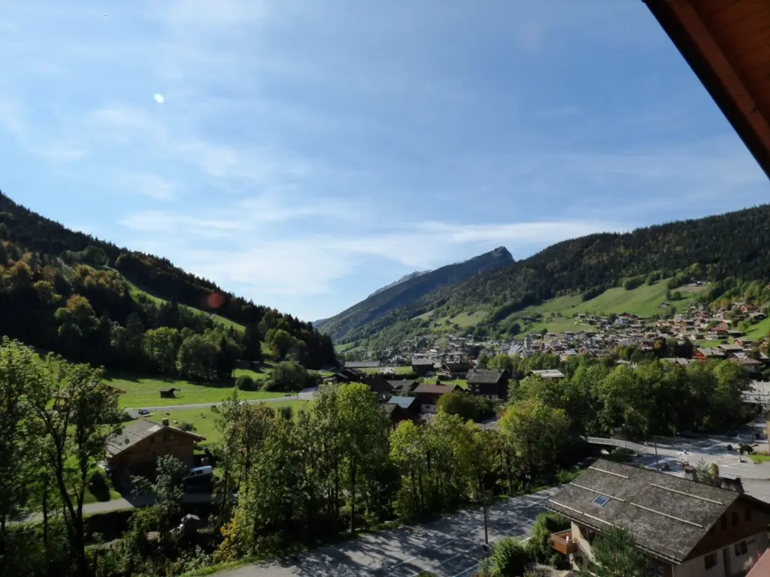 Maison de Vacances Le Grand-Bornand 449