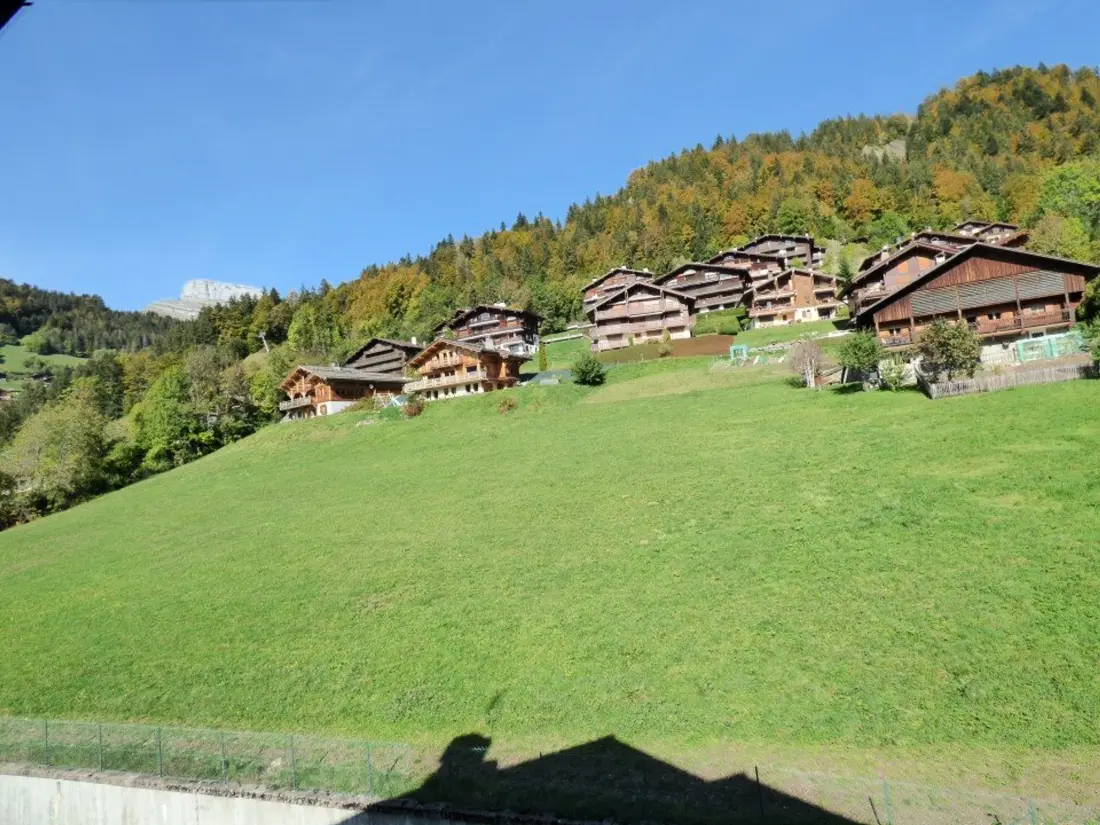 Maison de Vacances Le Grand-Bornand 449
