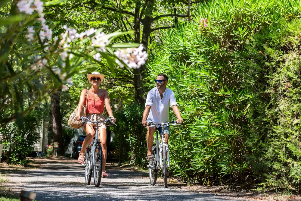 Camping Abri de Camargue4 étoiles★★★★