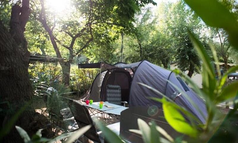 Camping Abri de Camargue **** - Le Grau-du-Roi - 6