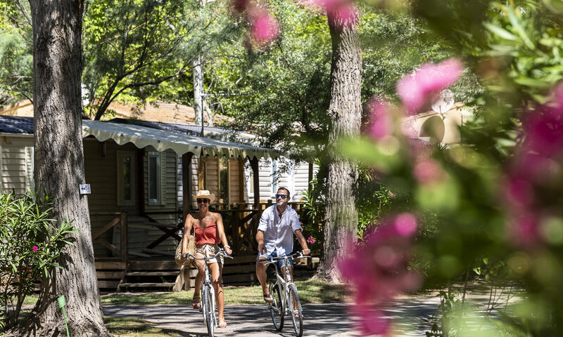 France - Méditerranée Ouest - Le Grau du Roi - Camping Abri de Camargue 4*