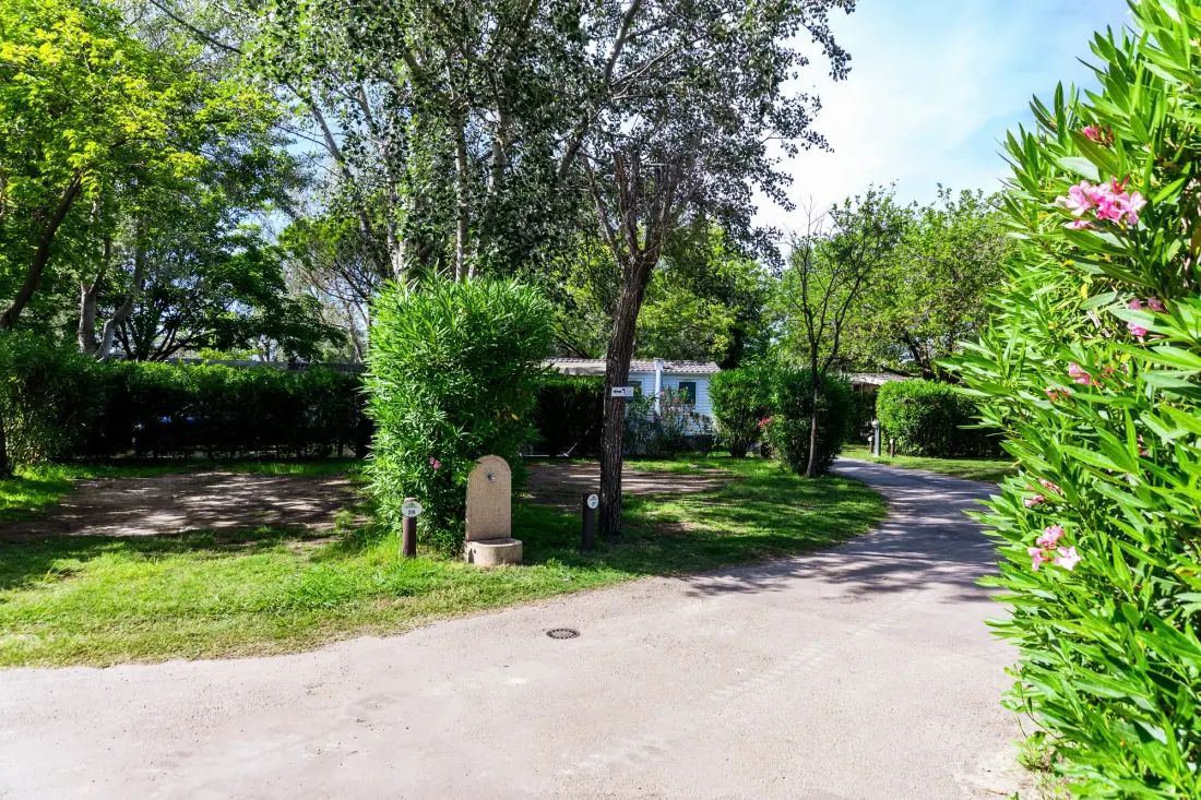 Camping Abri de Camargue 4 étoiles★★★★