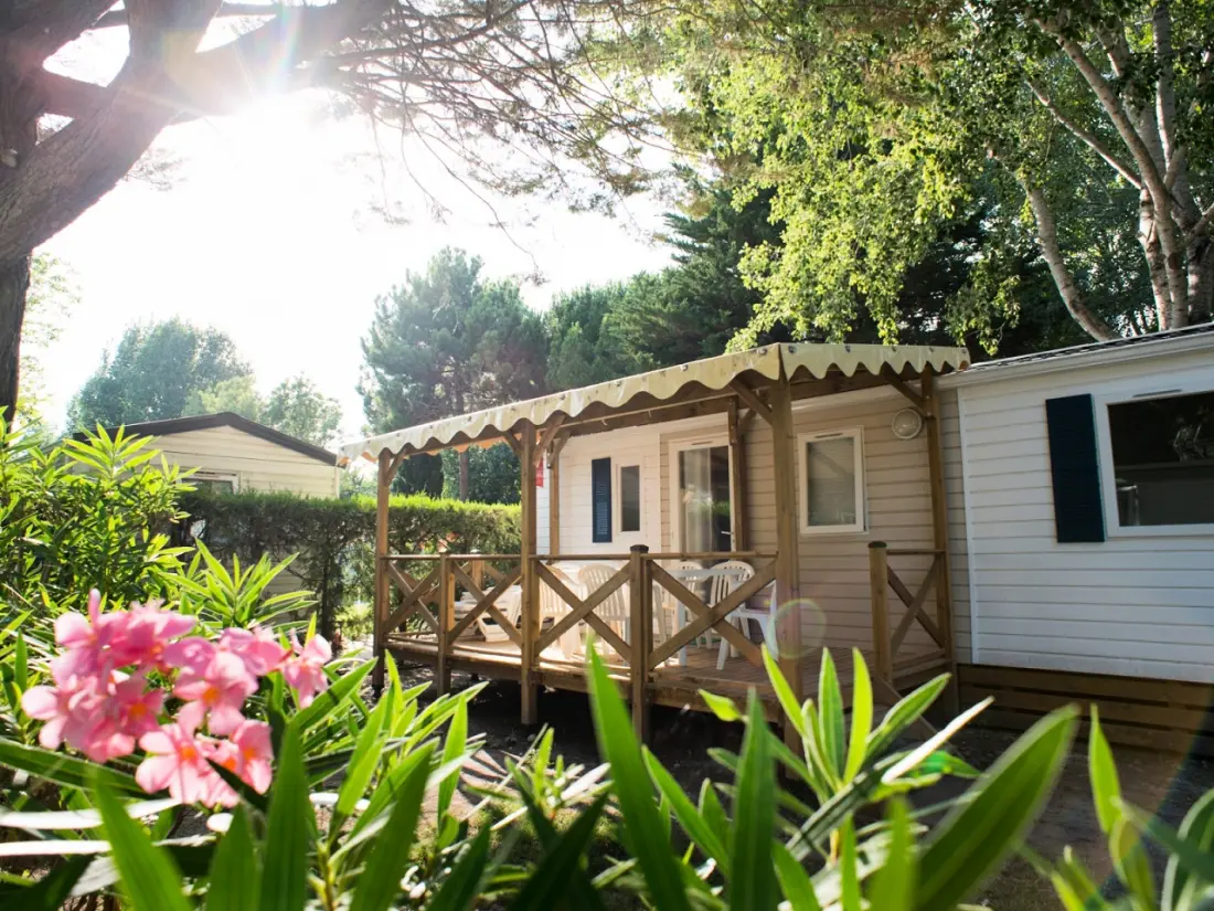 Camping Abri de Camargue 4 étoiles★★★★