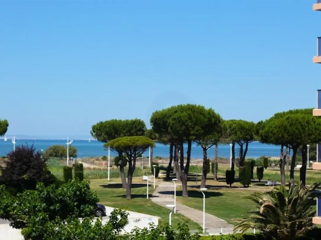 Location de Vacances Le Grau-du-Roi 386