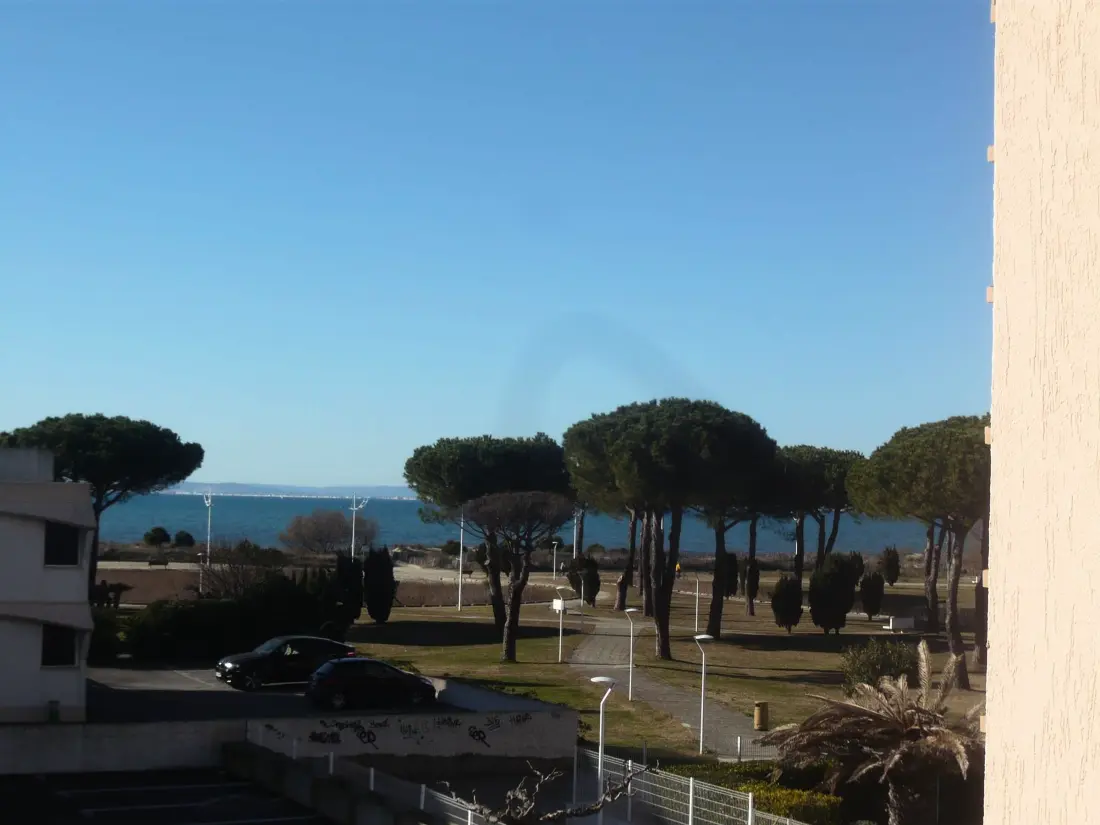 Location de Vacances Le Grau-du-Roi 386