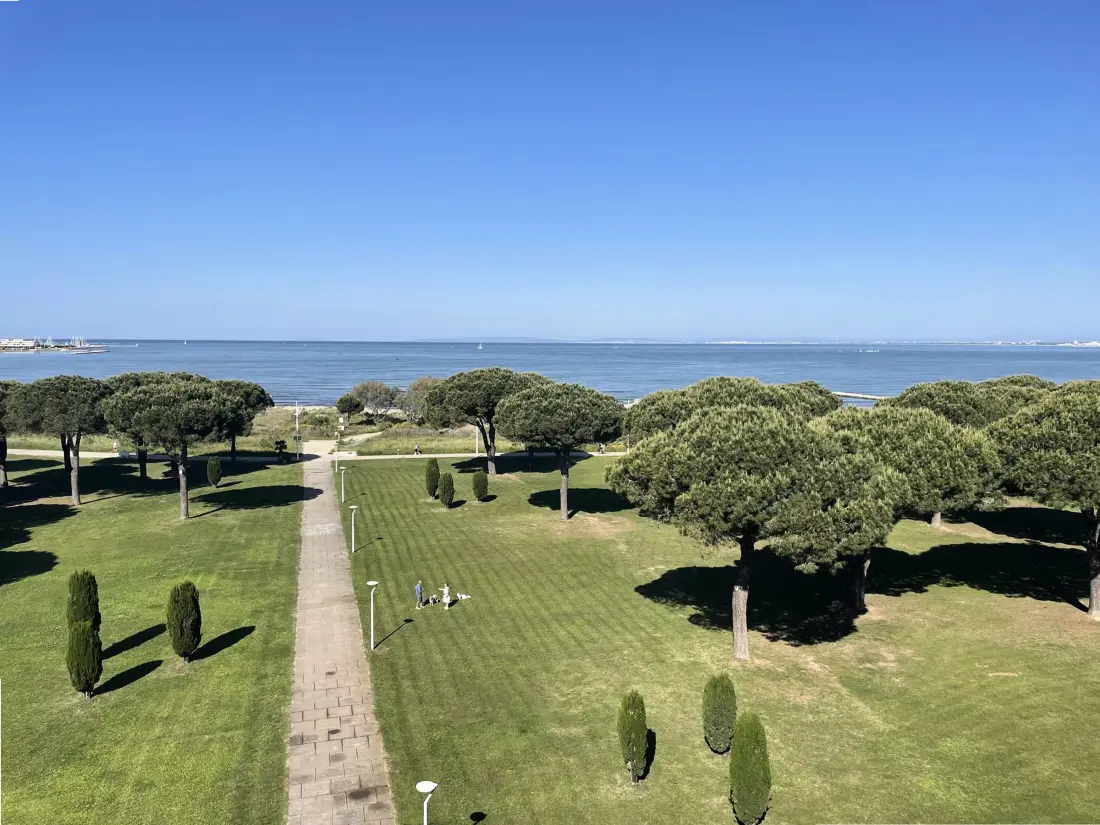 Location de Vacances Le Grau-du-Roi 401