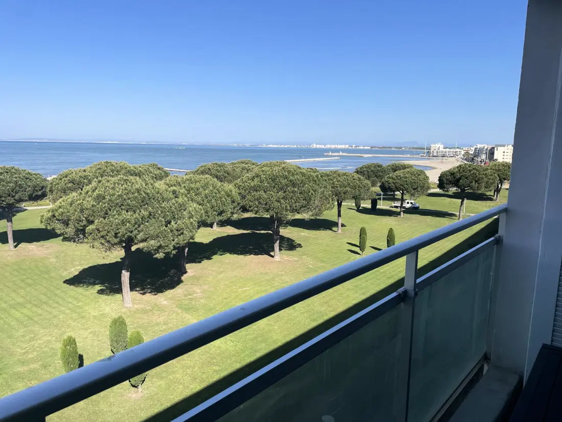 Location de Vacances Le Grau-du-Roi 401