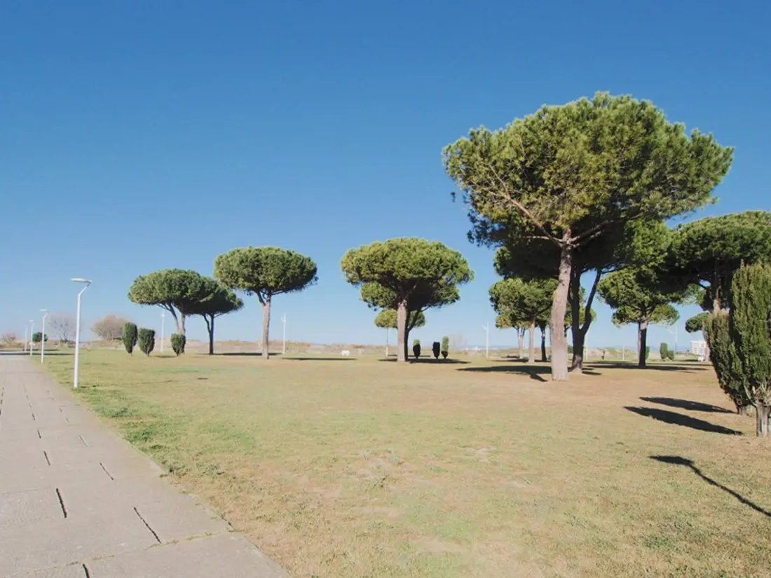 Location de Vacances Le Grau-du-Roi 423