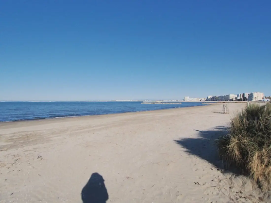 Location de Vacances Le Grau-du-Roi 423