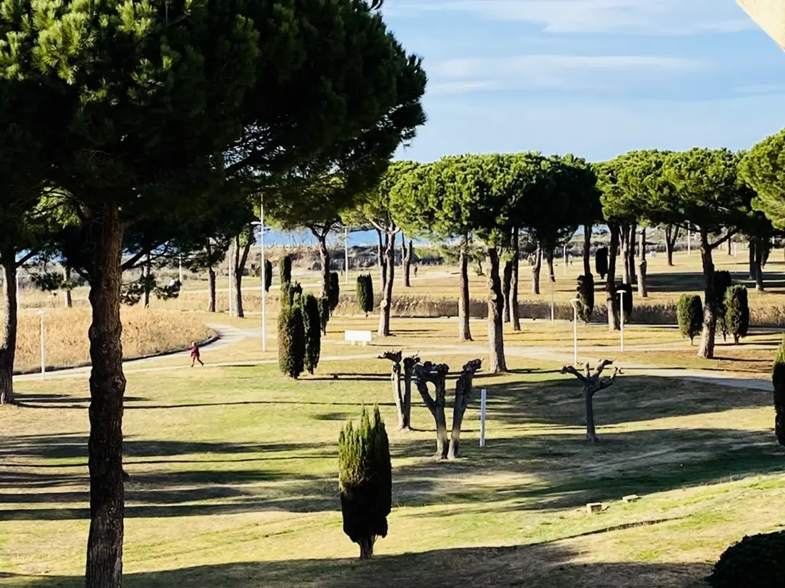 Location de Vacances Le Grau-du-Roi 432