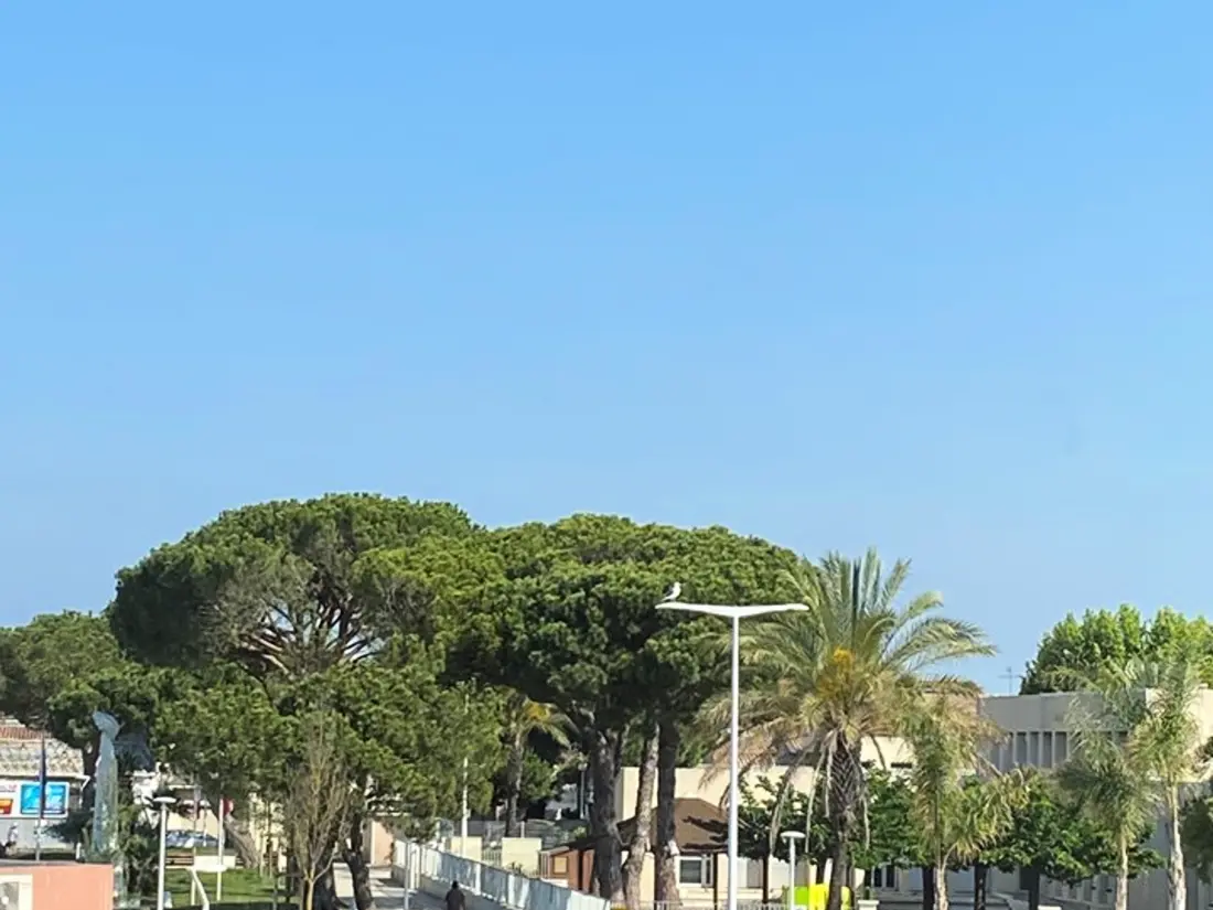Location de Vacances Le Grau-du-Roi 433