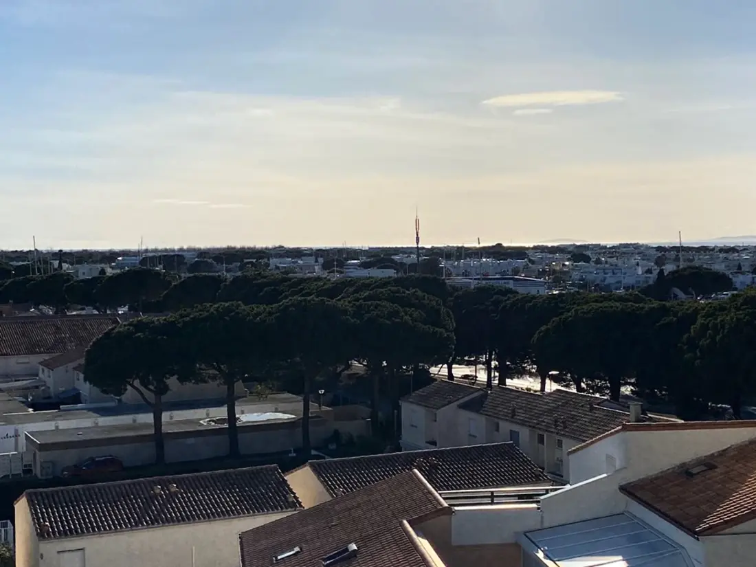Location de Vacances Le Grau-du-Roi 436