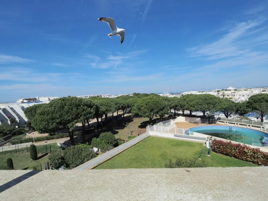 Location de Vacances Le Grau-du-Roi 442