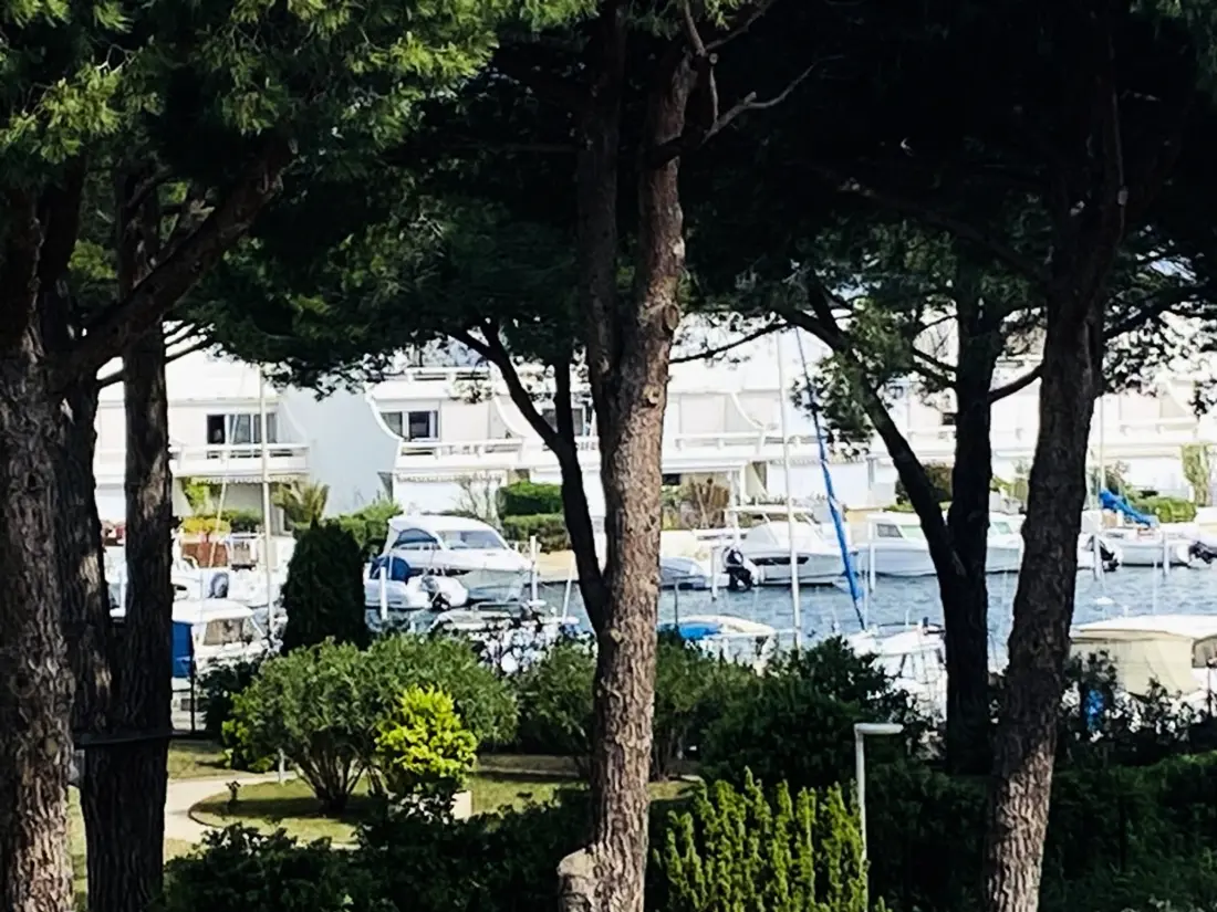 Location de Vacances Le Grau-du-Roi 443