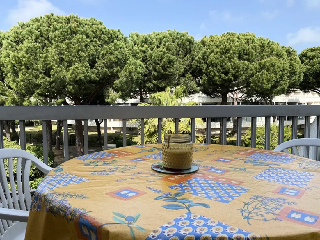 Location de Vacances Le Grau-du-Roi 443