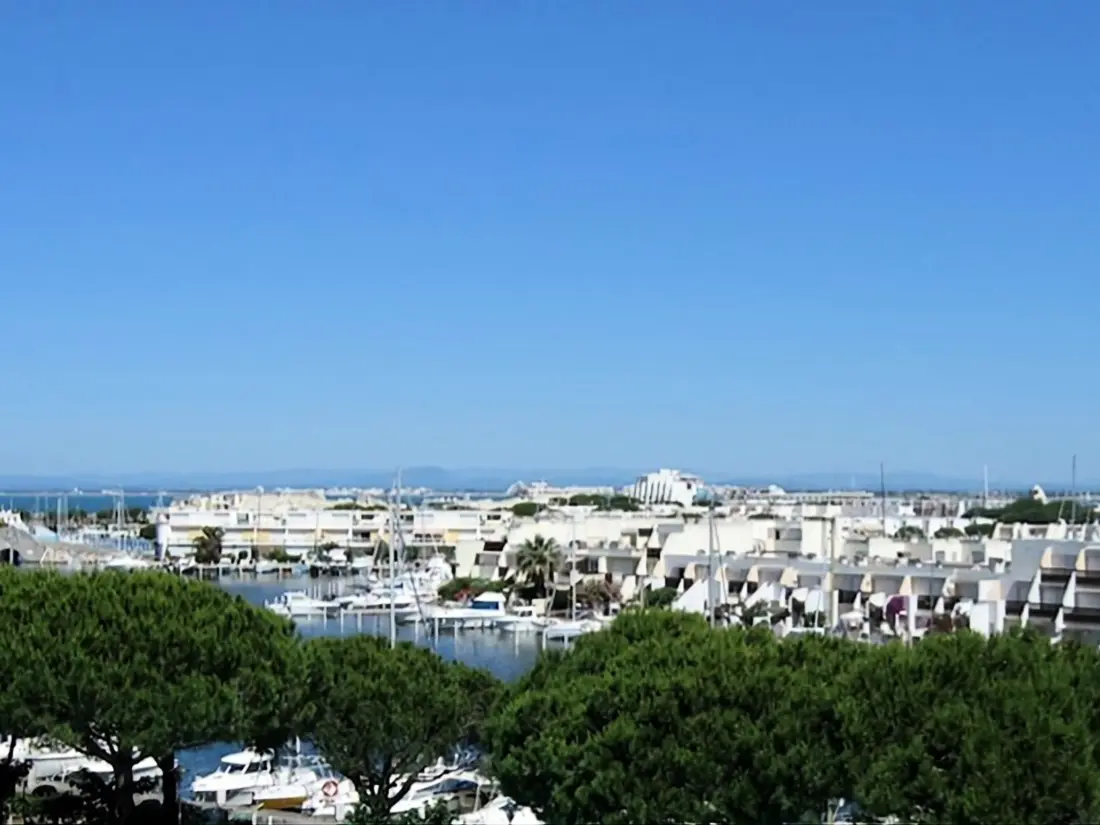 Location de Vacances Le Grau-du-Roi 450