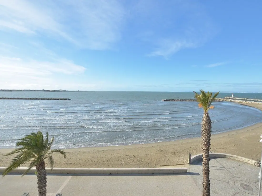 Location de Vacances Le Grau-du-Roi 455