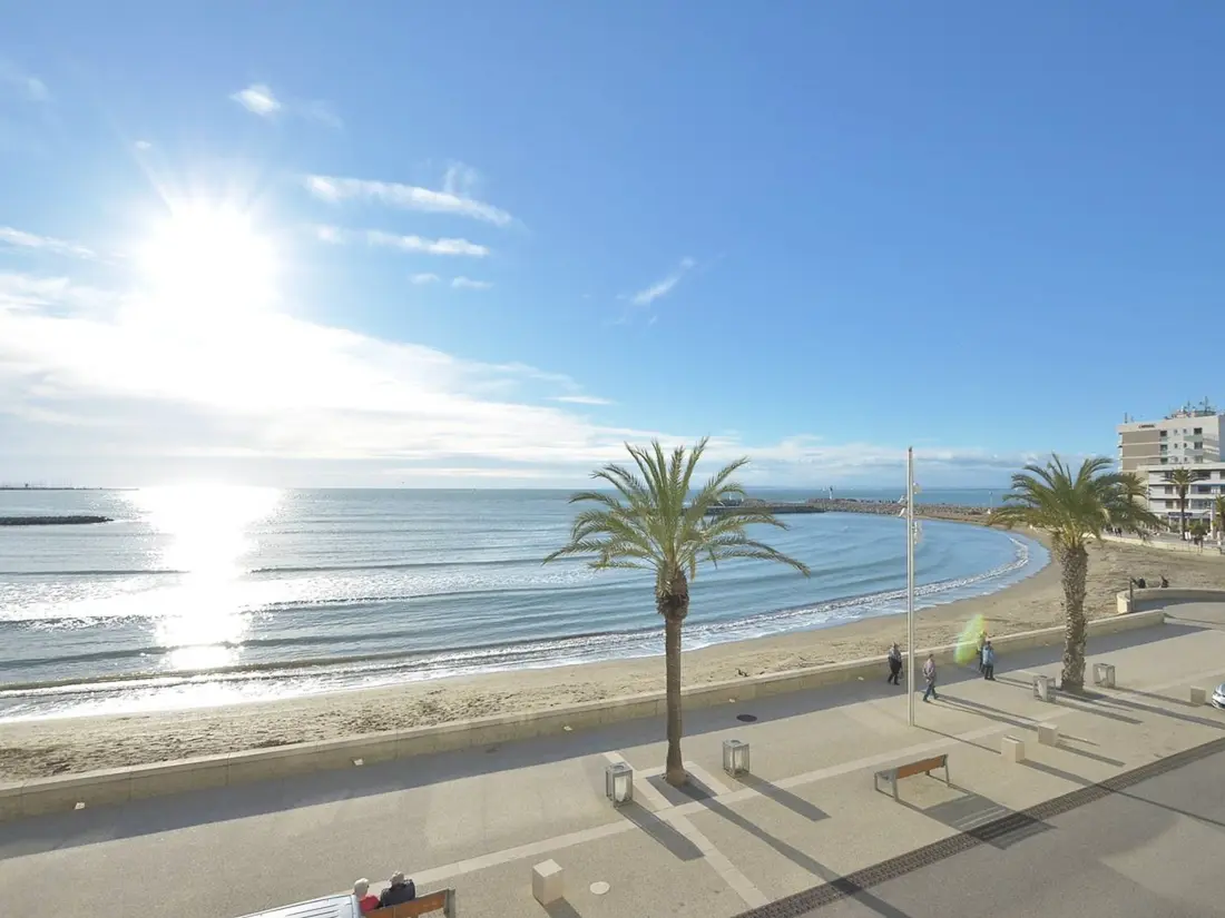 Location de Vacances Le Grau-du-Roi 492