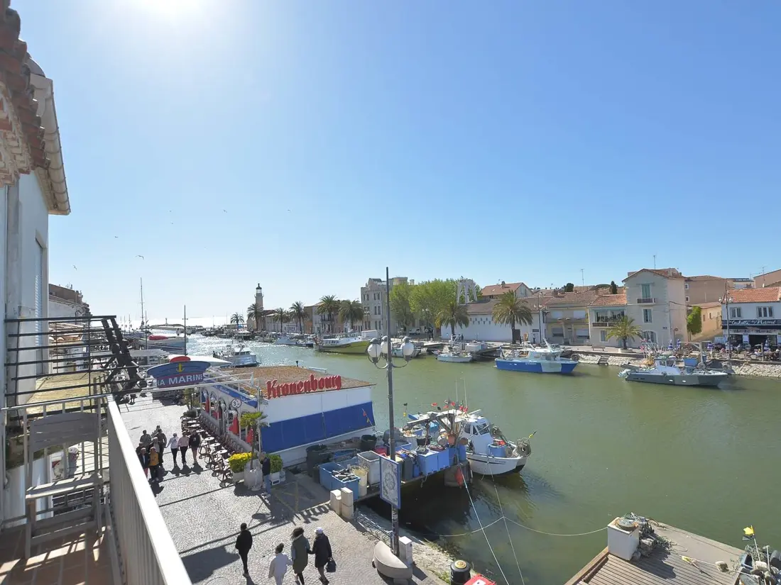 Location de Vacances Le Grau-du-Roi 523