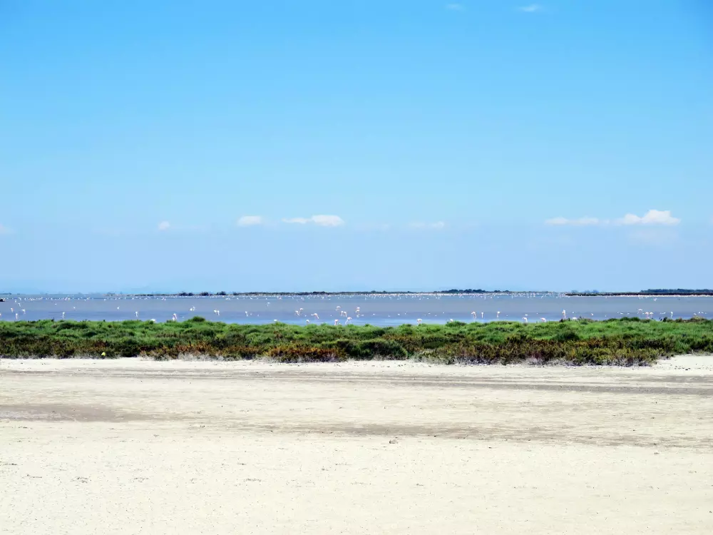 Résidence Camargue Village