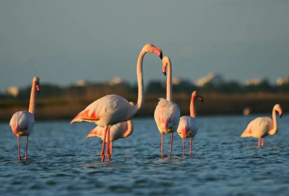 Résidence Floride