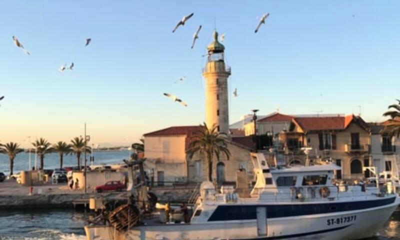 Résidence La Goélette - Appartement Une Chambre Avec Terrasse Proche De La Mer - - Le Grau-du-Roi - 28