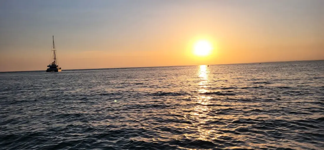 Résidence La Goélette Entre 🏖️plage Et Centre Ville
