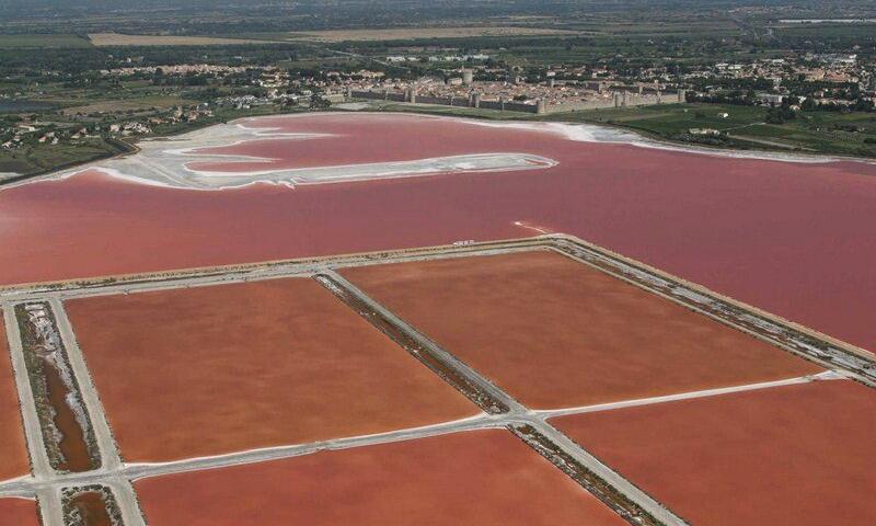 Résidence Lagon Bleu - - Le Grau-du-Roi - 17