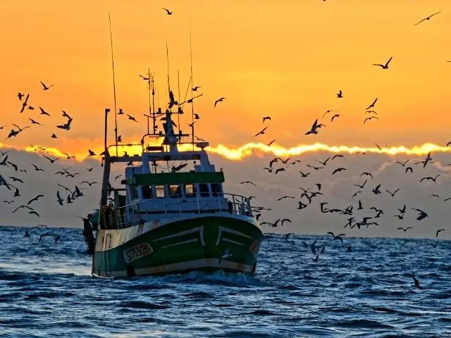Résidence Les Maisons De La Plage