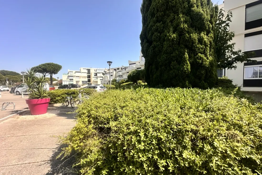 Résidence Les Terrasses De L'espiguette - Studio Rénové Terrasse Plage à Pied