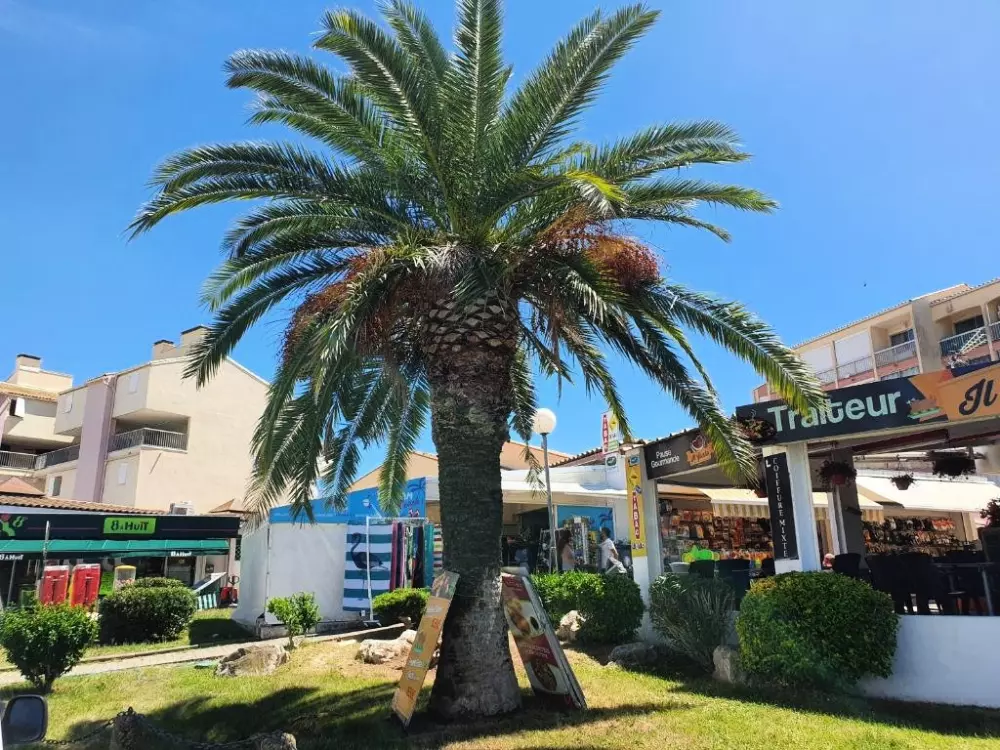 Résidence Los Amigos 2