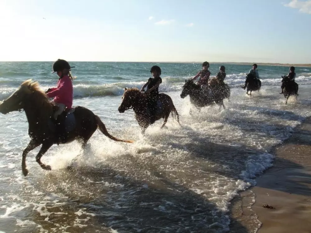 Résidence Los Amigos 2