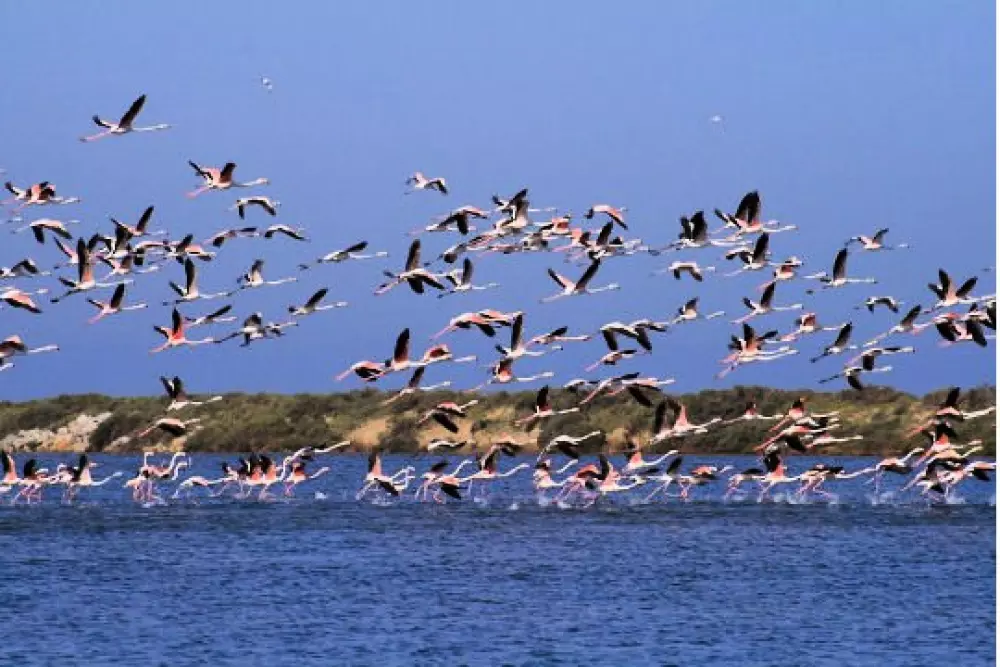 Résidence Los Amigos 2