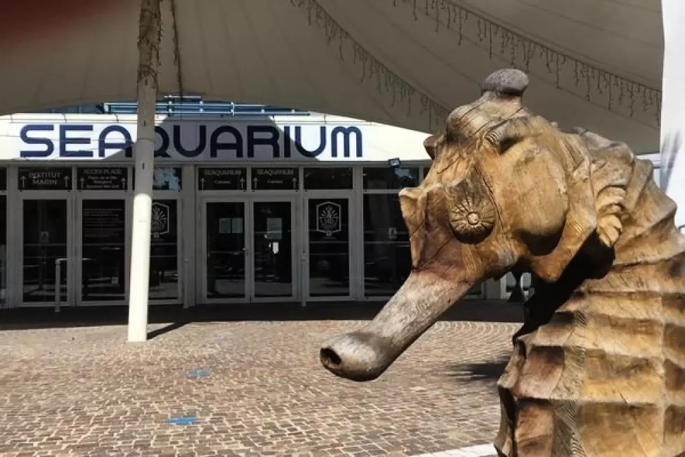 Résidence Los Amigos 2